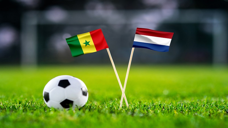 2022 FIFA足球世界盃【塞內加爾 VS 荷蘭】A組分析